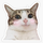 Tho Nguyen's avatar